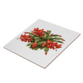 Blooming Red Christmas Cactus Plant  Tegeltje (Zijkant)