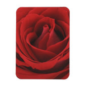 Blooming Red Rose Magneet (Verticaal)