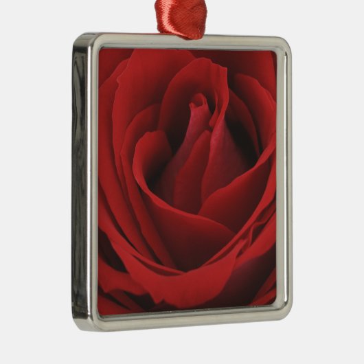 Blooming Red Rose Metalen Ornament (Rechts)