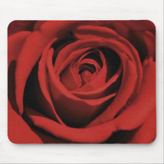 Blooming Red Rose Mousepad Muismat