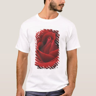 Blooming Red Rose T-shirt