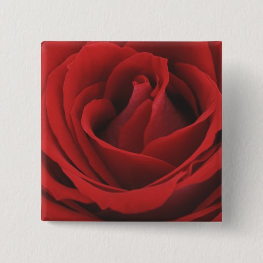 Blooming Red Rose Vierkante Button 5,1 Cm (Voorkant)