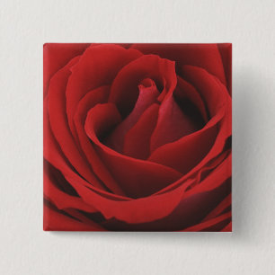 Blooming Red Rose Vierkante Button 5,1 Cm
