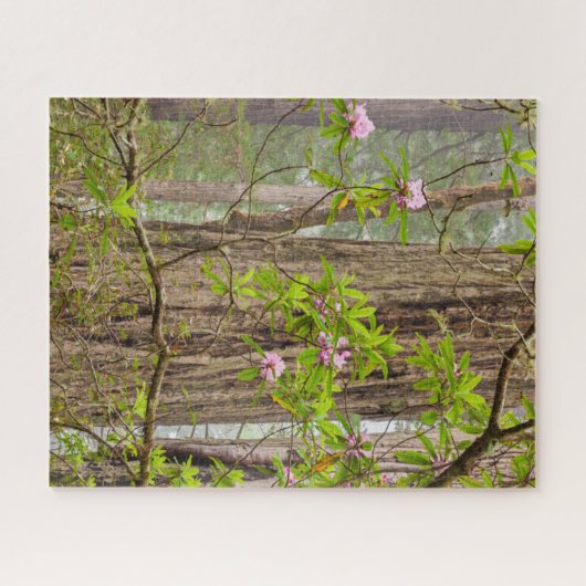 Blooming Rhododendrons | Staatspark van kustmammoe Legpuzzel (Horizontaal)