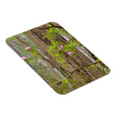 Blooming Rhododendrons | Staatspark van kustmammoe Magneet (Rechterzijde)