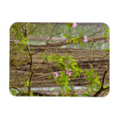 Blooming Rhododendrons | Staatspark van kustmammoe Magneet (Horizontaal)