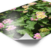 Blooming Romance Foto Afdruk (Hoek)