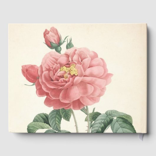 Blooming Roos 70e verjaardag Gastenboek (Achterkant)