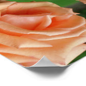 Blooming Roos Abstract Poster (Hoek)