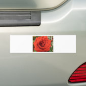 Blooming Roos Bumpersticker (Op auto)
