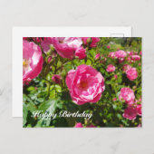 Blooming roses Happy Birthday Feestdagenkaart (Voorkant / Achterkant)