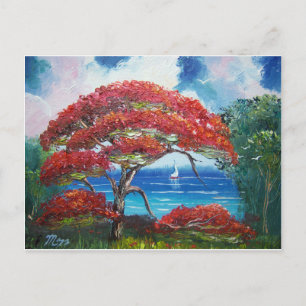 Blooming Royal Pooverana Tree and Sailboat Briefkaart