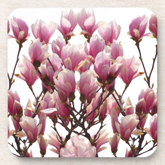 Blooming roze Magnolias Spring Flower Bier Onderzetter (Voorkant)