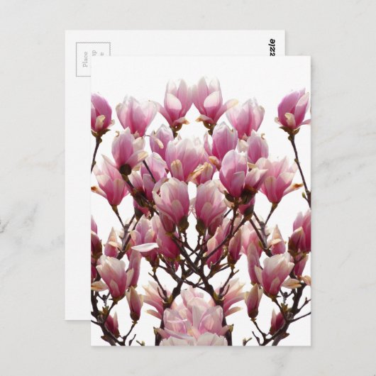 Blooming roze Magnolias Spring Flower Briefkaart (Voorkant / Achterkant)