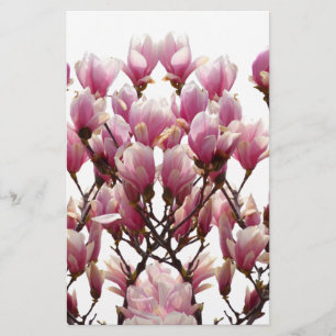 Blooming roze Magnolias Spring Flower Briefpapier
