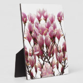 Blooming roze Magnolias Spring Flower Fotoplaat (Zijkant)