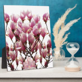 Blooming roze Magnolias Spring Flower Fotoplaat (Zijkant)