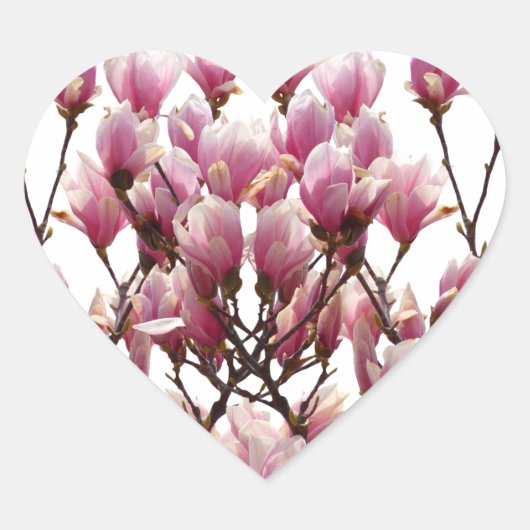 Blooming roze Magnolias Spring Flower Hart Sticker (Voorkant)