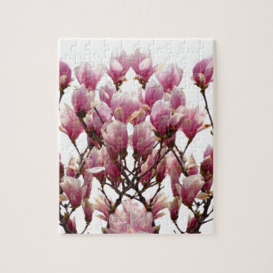 Blooming roze Magnolias Spring Flower Legpuzzel