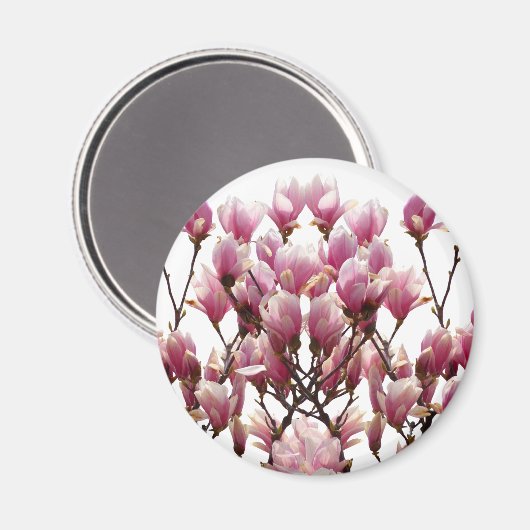 Blooming roze Magnolias Spring Flower Magneet (Voorkant / Achterkant)