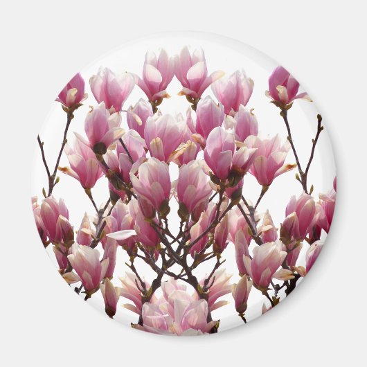 Blooming roze Magnolias Spring Flower Magneet (Voorkant)