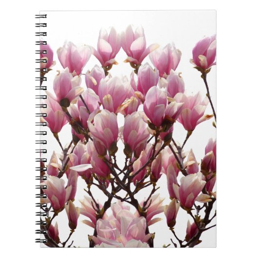 Blooming roze Magnolias Spring Flower Notitieboek (Voorkant)