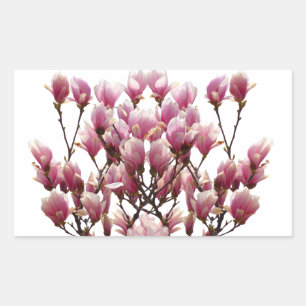 Blooming roze Magnolias Spring Flower Rechthoekige Sticker