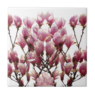 Blooming roze Magnolias Spring Flower Tegeltje