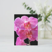 Blooming Roze Orchids Briefkaart (Staand voorkant)