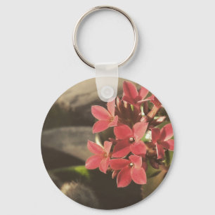 Blooming Succulenten in mijn tuin Sleutelhanger