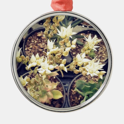 Blooming Succulents Metalen Ornament (Voorkant)