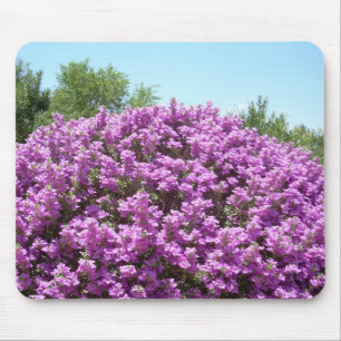 Blooming Texas Sage Mousepad Muismat