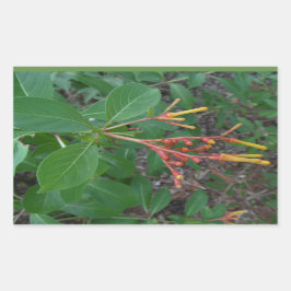 Blooming Tropische bloemen Rechthoekige Sticker