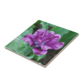 Blooming van Paarse papegaai Tegeltje (Zijkant)