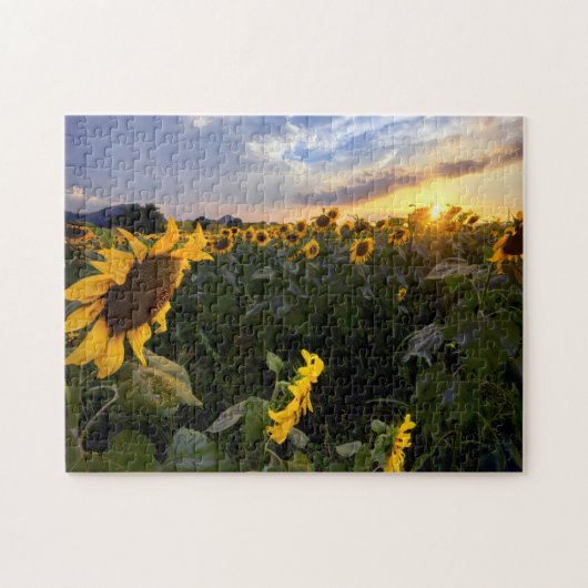 Blooming van zonnebloemen legpuzzel (Horizontaal)