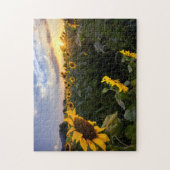 Blooming van zonnebloemen legpuzzel (Verticaal)
