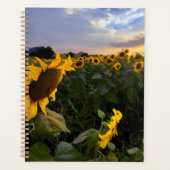 Blooming van zonnebloemen planner (Voorkant)