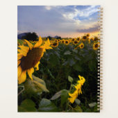 Blooming van zonnebloemen planner (Achterkant)