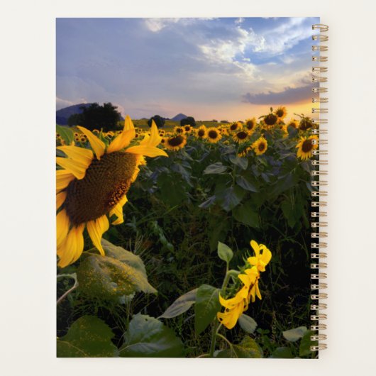 Blooming van zonnebloemen planner (Achterkant)