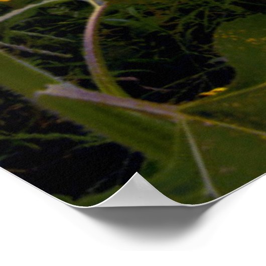 Blooming van zonnebloemen poster (Hoek)