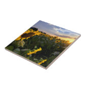 Blooming van zonnebloemen tegeltje (Zijkant)