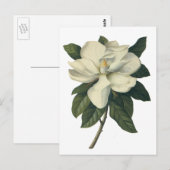  Blooming White Magnolia Blossom Flowers Briefkaart (Voorkant / Achterkant)