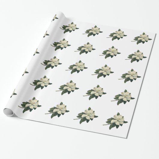  Blooming White Magnolia Blossom Flowers Cadeaupapier (Uitgerold)