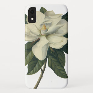 Blooming White Magnolia Blossom Flowers iPhone XR Hoesje