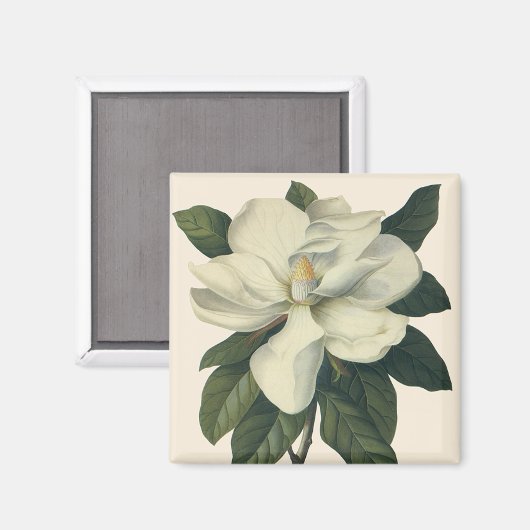  Blooming White Magnolia Blossom Flowers Magneet (Voorkant / Achterkant)