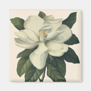  Blooming White Magnolia Blossom Flowers Magneet
