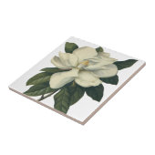 Blooming White Magnolia Blossom Flowers Tegeltje (Zijkant)