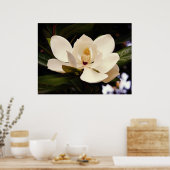 Blooming White Magnolia Poster (Keuken)