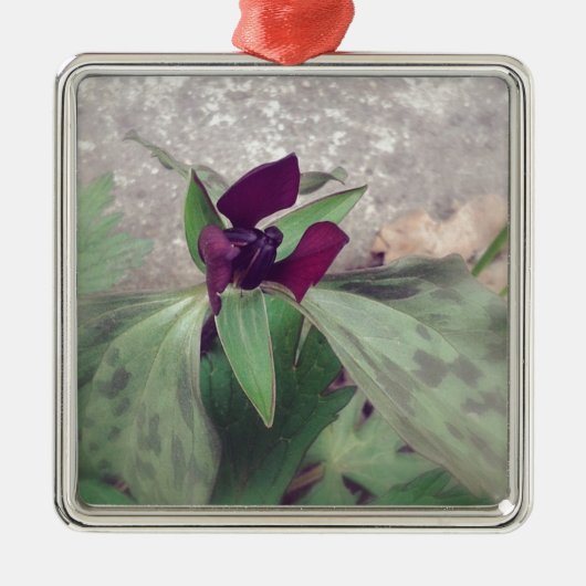 Blooming Wildflower Metalen Ornament (Voorkant)