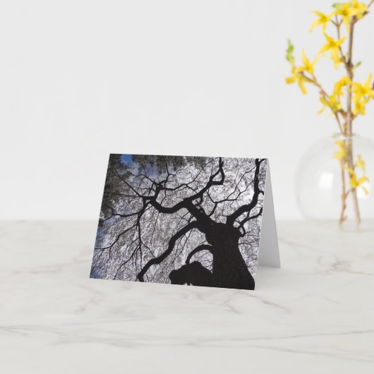 Blooming Willow Note Card Kaart (Gele Bloem)